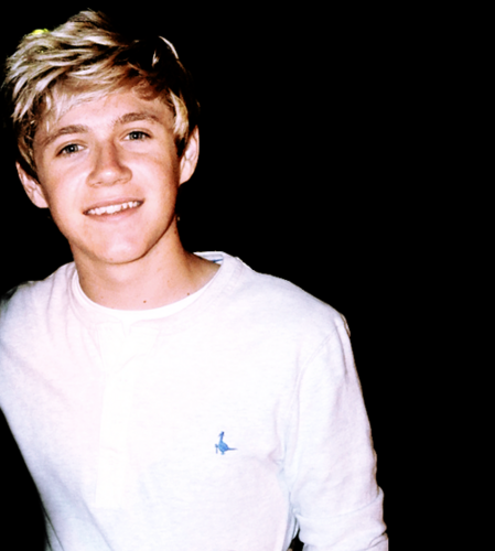 xxx-niallers-xxx-niall-horan-25009286-500-557_large.png